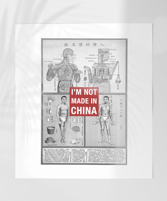Vintage Anatomical Poster with Unique Statement Art