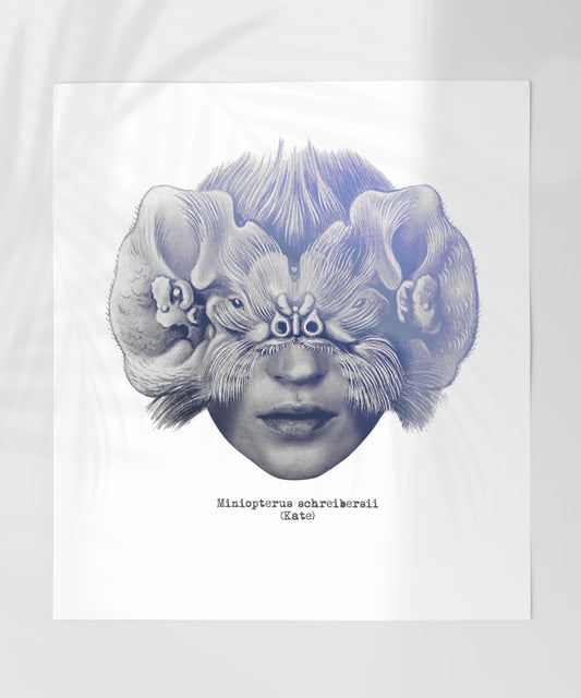 Miniopterus schreibersii Illustrated Creature Poster