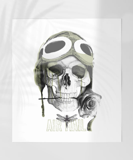 Air Mail Skull with Helmet and Rose Art Print