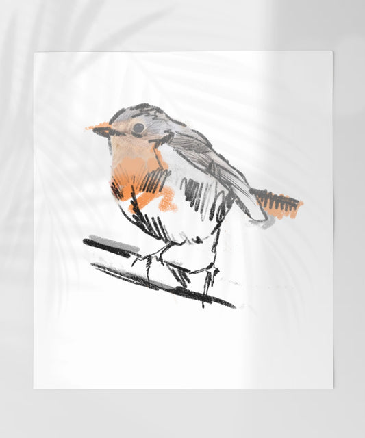 Hand-Drawn Robin Bird Art Print on White Background