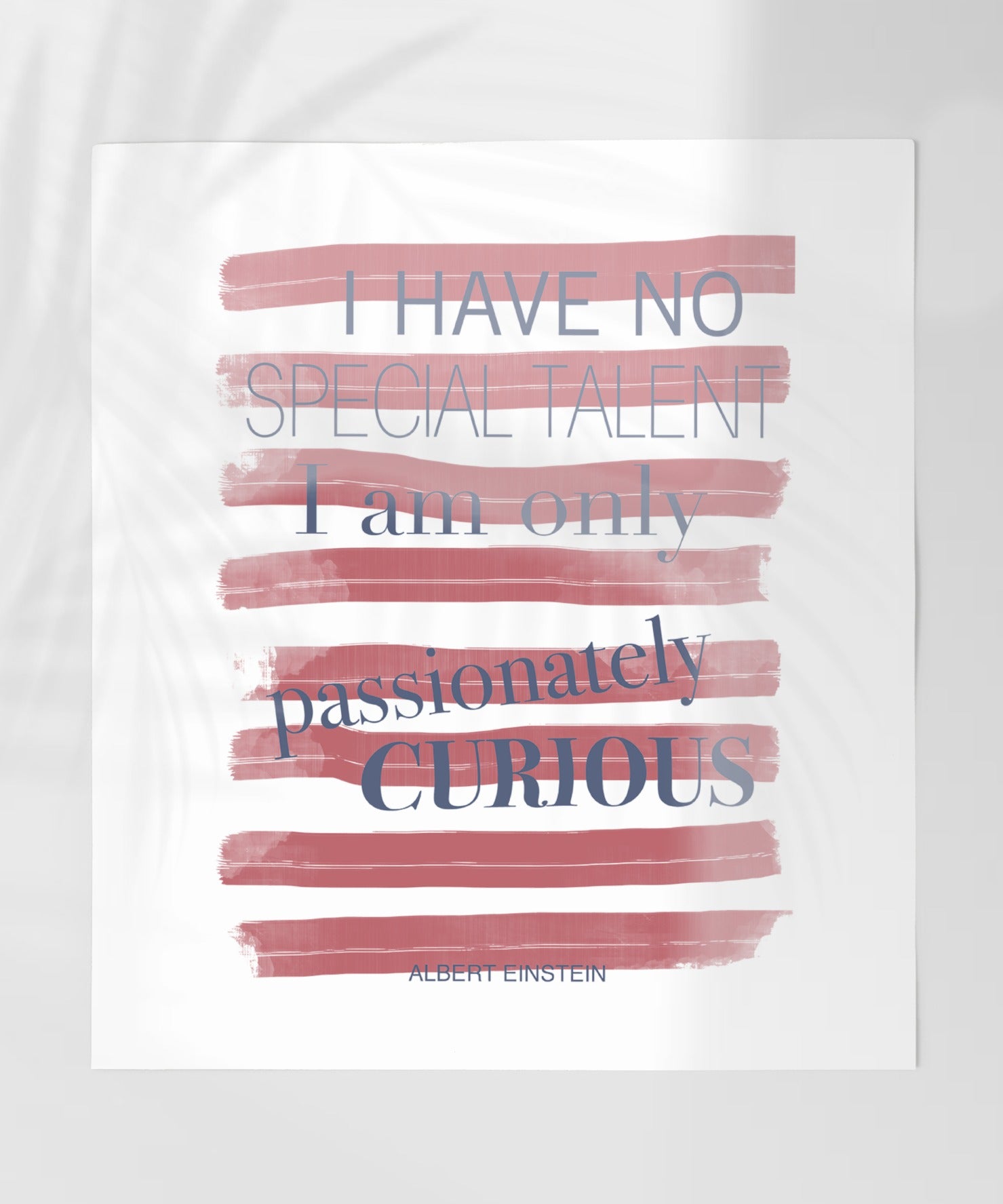I Have No Special Talent Quote Wall Art Decor