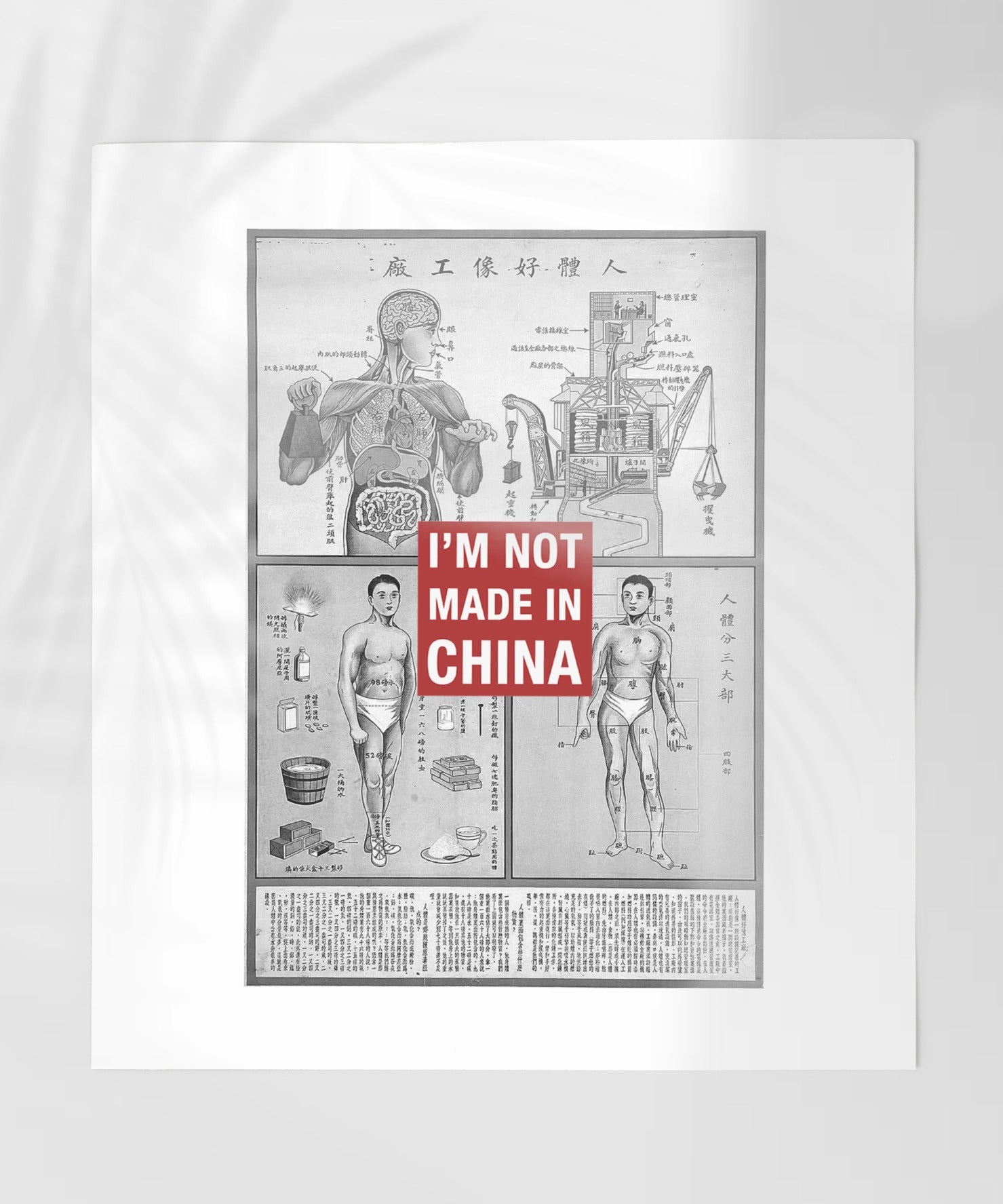 Vintage Anatomical Poster with Unique Statement Art