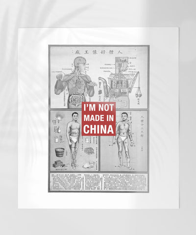 Vintage Anatomical Poster with Unique Statement Art