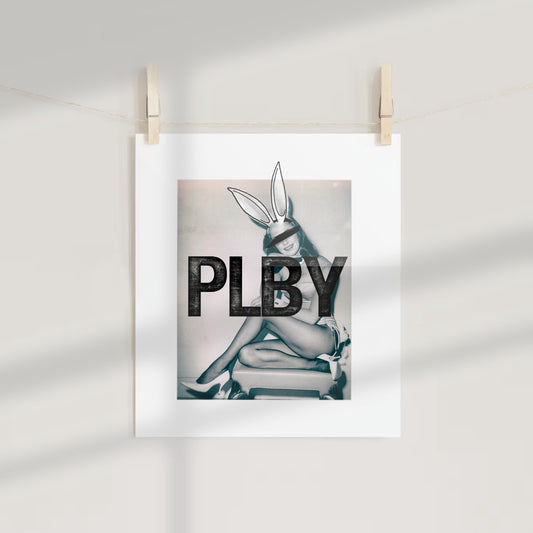 Retro PLBY Bunny Poster with Artistic Graphic Print