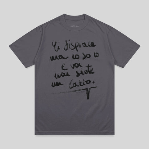 Gray t-shirt with handwritten Italian text that translates to "I'm sorry, but I am a cat."