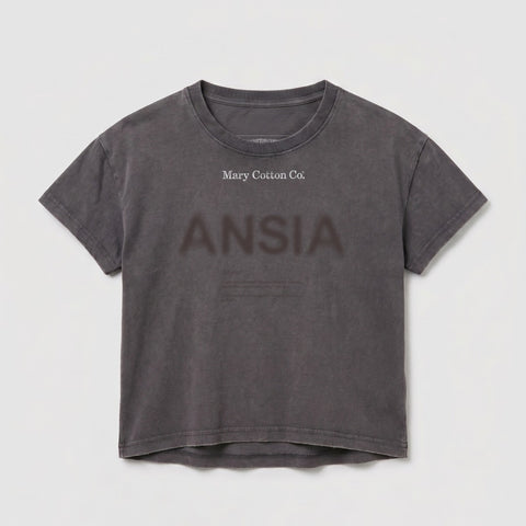 Gray cropped t-shirt with "Mary Cotton Co." and "ANSIA" printed on chest.