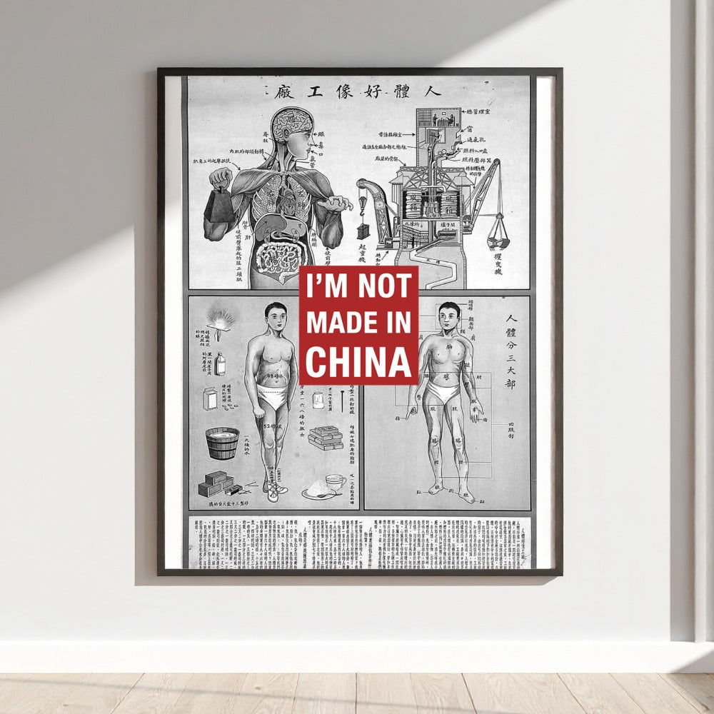 I'm Not Made in China Anatomy Poster Wall Art Decor