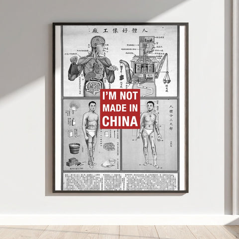 I'm Not Made in China Anatomy Poster Wall Art Decor