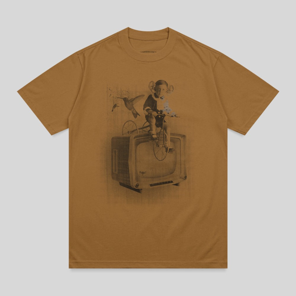 Retro Television Child Bicycle Hummingbird Artwork product type