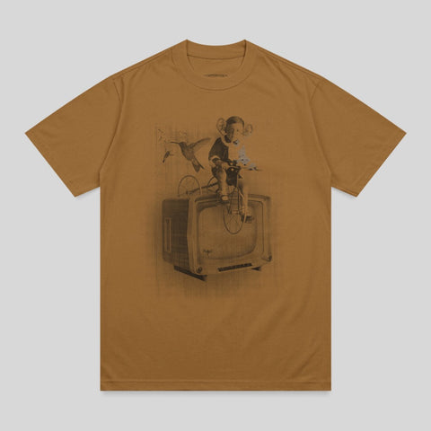 Retro Television Child Bicycle Hummingbird Artwork product type