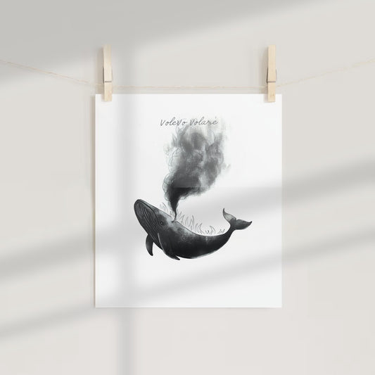 Volevo Volare Whale Drawing Art Print Poster