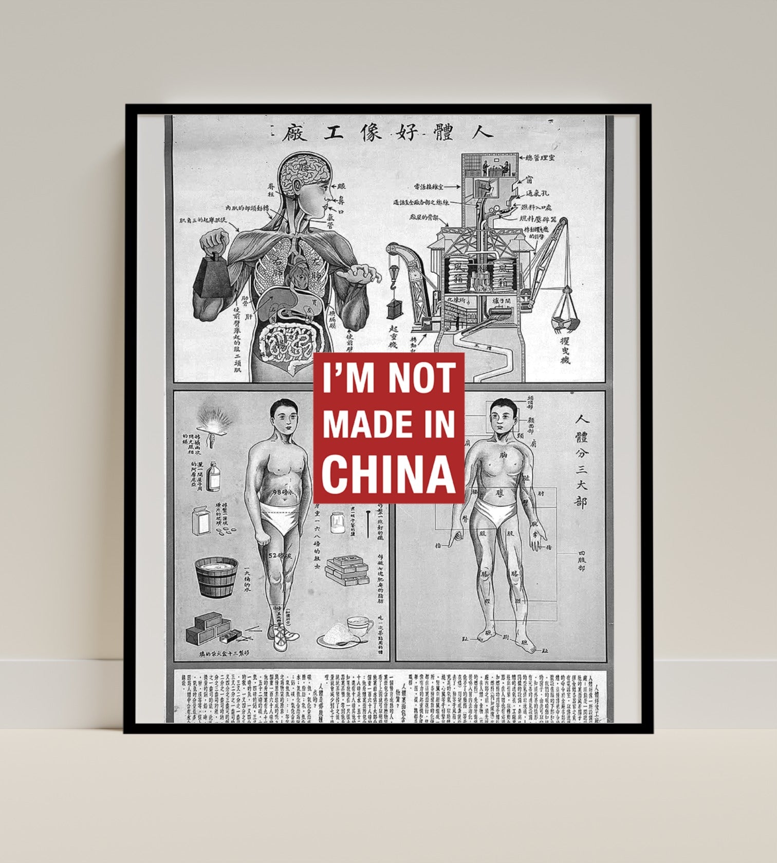 Vintage Anatomical Chart with I'm Not Made In China Poster