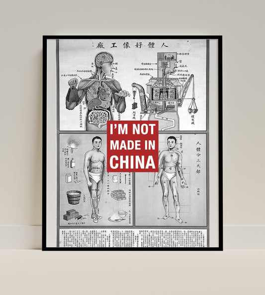 Vintage Anatomical Chart with I'm Not Made In China Poster