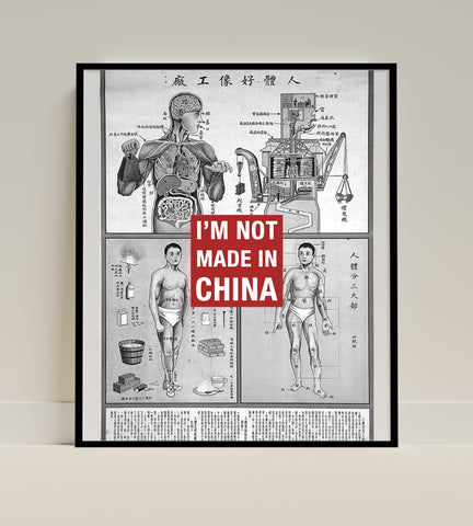 Vintage Anatomical Chart with I'm Not Made In China Poster