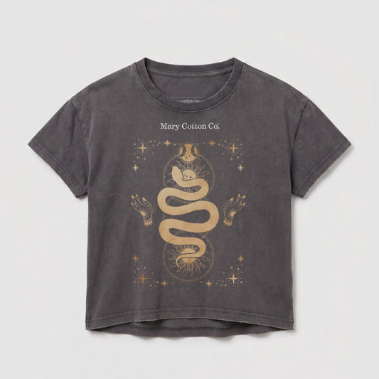 Gray graphic t-shirt with gold celestial snake and sun design.
