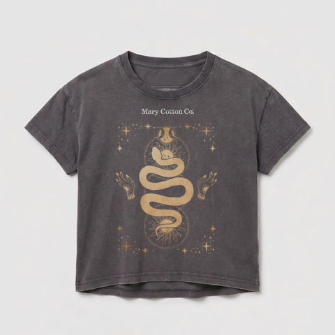 Gray graphic t-shirt with gold celestial snake and sun design.