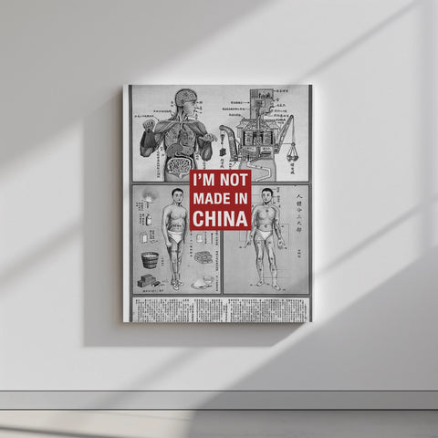 Quadro canvas Not China