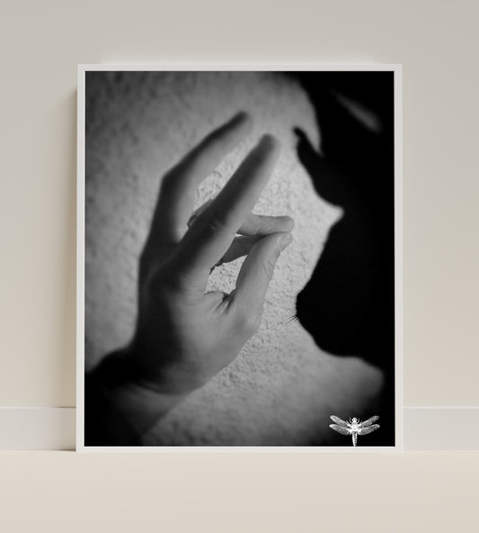 Black and White Hands Shadow Gesture Art Print