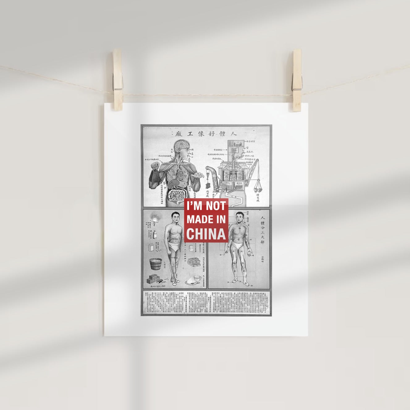 I'm Not Made In China Anatomical Poster Print