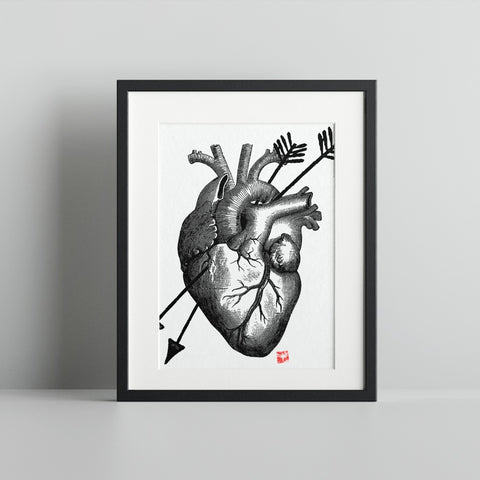 Anatomical Heart with Arrow Framed Artwork Print