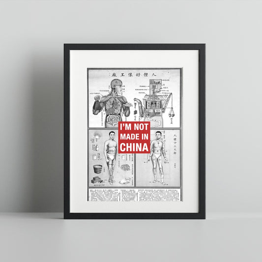 I'm Not Made in China Anatomy Art Print Artwork Decor