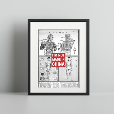 I'm Not Made in China Anatomy Art Print Artwork Decor