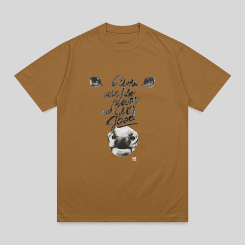 Brown t-shirt with graphic of a dog's face and text "I am here because I'm good".