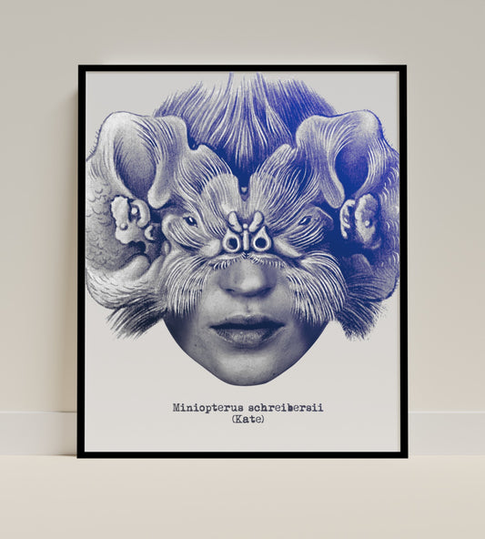 Miniopterus schreibersii Kate Art Print Unique Design Poster