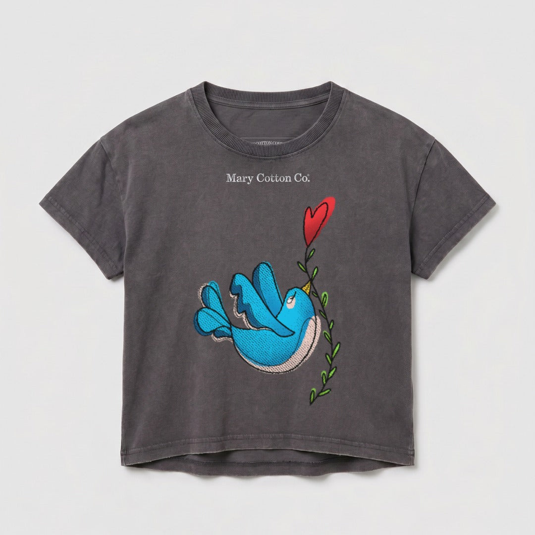 Gray t-shirt with blue bird and red heart graphic, "Mary Cotton Co." text.