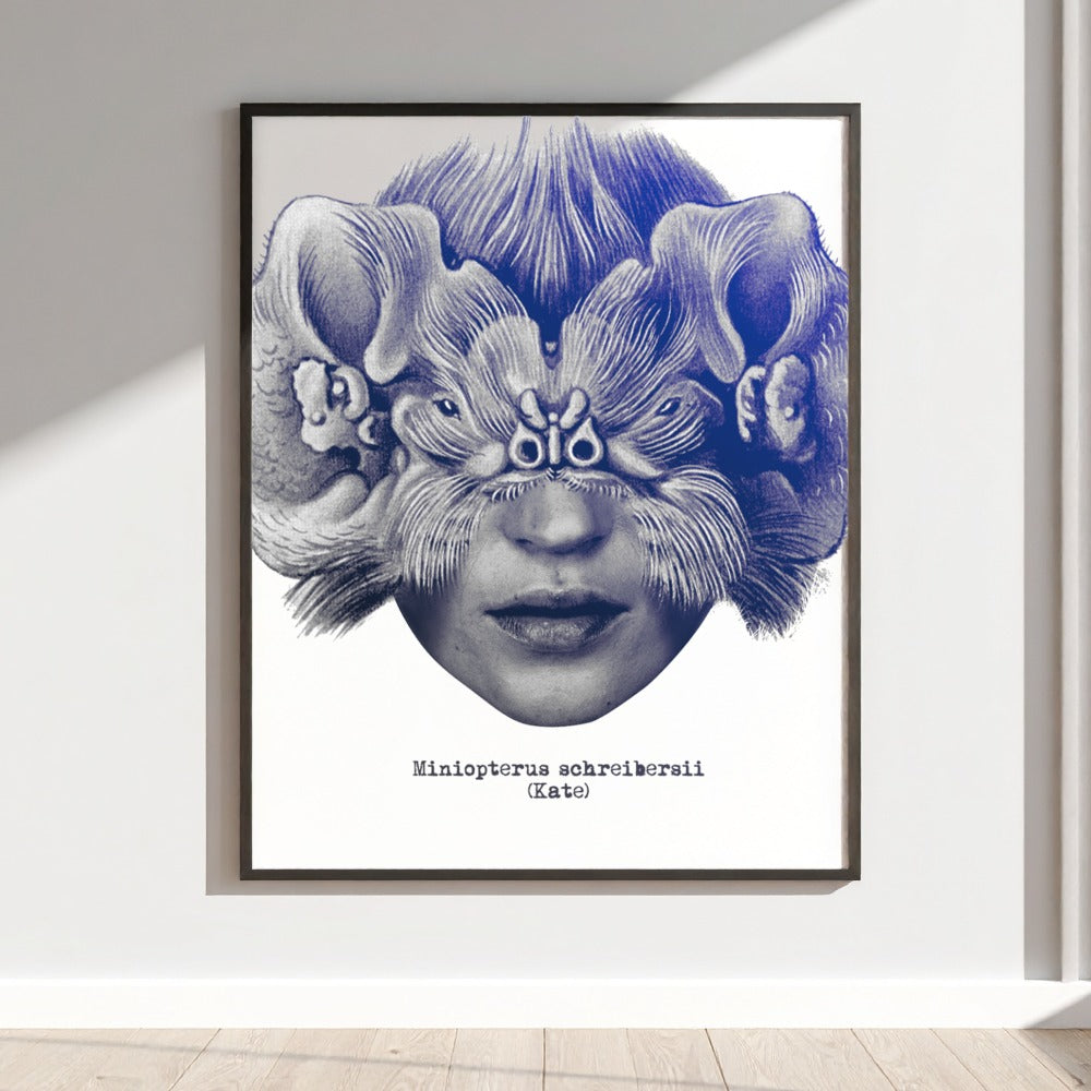 Miniopterus schreibersii (Kate) wall art poster product