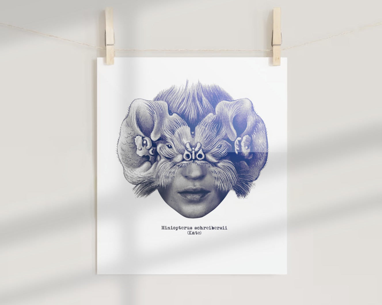 Miniopterus schreibersii (Kate) surreal art print