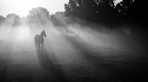 Rodeo — Extrait de Parfum